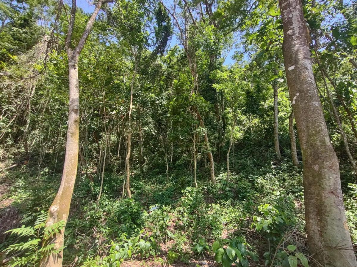 https://www.casa33imoveis.com.br/imagens/imoveis/20231123063141692129.jpg